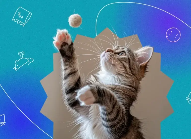 interactive electric cat ball 3 Einkaufswelt Kaspar